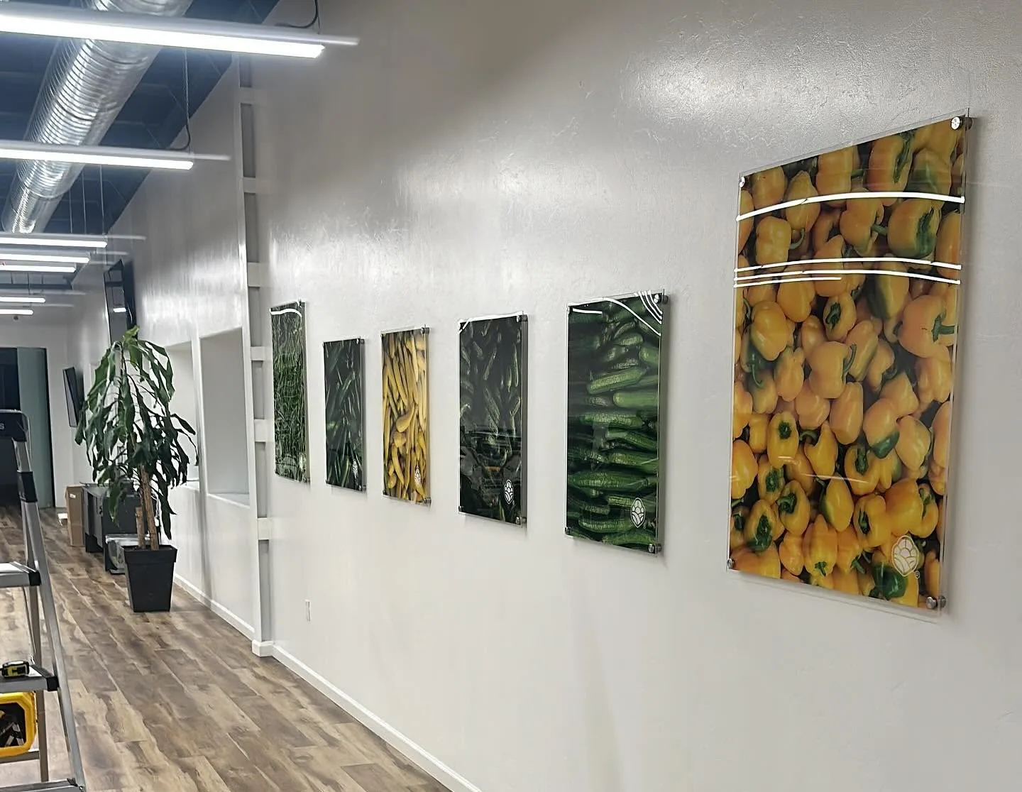Pasillo de oficina con seis cuadros de acrílico impresos con fotografías de verduras, montados con separadores