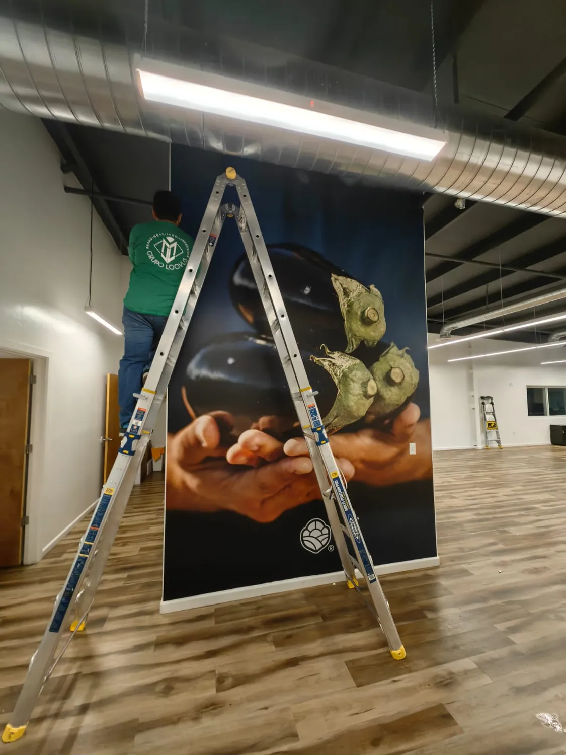 Instalador de LOOVUS colocando un mural de vinil de gran formato en una oficina