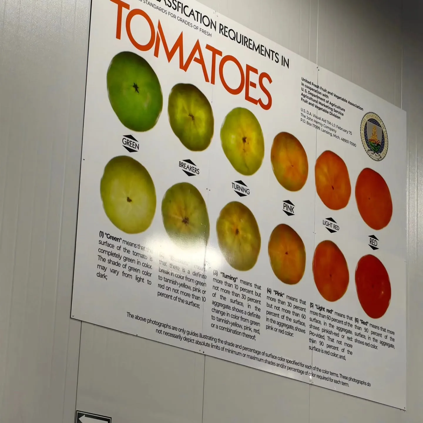 Tablero impreso de clasificación de tomates de la USDA montado en la pared de una empacadora